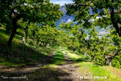 saxon_troup_170513_-(40)