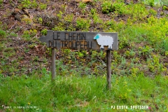 saxon_troup_170513_-(44)