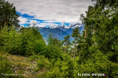 saxon_troup_170513_-(52)