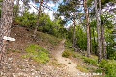 saxon_troup_170513_-(54)
