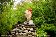 saxon_troup_170513_-(8)