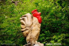 saxon_troup_170513_-(9)