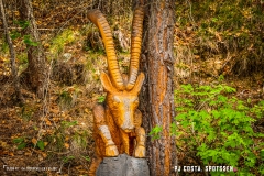 saxon_troup_170513_-(90)