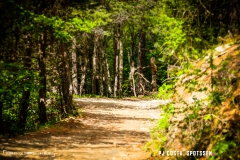 saxon_troup_170513_-(92)