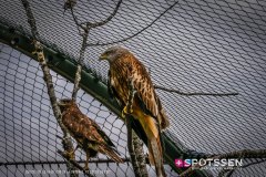 garenne_zoo_170514_-21