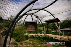 garenne_zoo_170514_-30