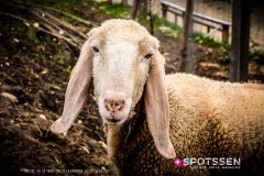 garenne_zoo_170514_-38