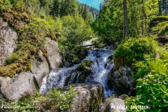 breya_valarpette_170611_-(101)