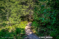 breya_valarpette_170611_-(102)