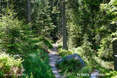 breya_valarpette_170611_-(104)