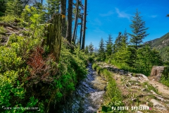 breya_valarpette_170611_-(109)
