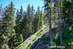 breya_valarpette_170611_-(2)