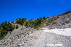 breya_valarpette_170611_-(32)