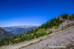 breya_valarpette_170611_-(34)