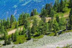 breya_valarpette_170611_-(35)