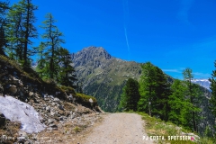 breya_valarpette_170611_-(36)