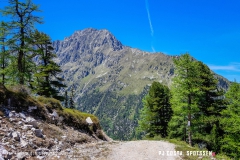 breya_valarpette_170611_-(37)
