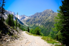breya_valarpette_170611_-(40)