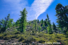 breya_valarpette_170611_-(41)