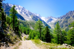 breya_valarpette_170611_-(43)