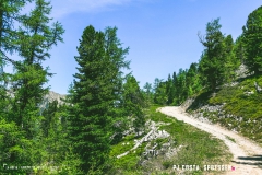 breya_valarpette_170611_-(49)