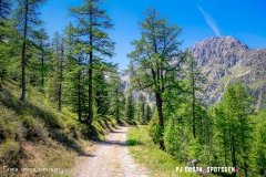 breya_valarpette_170611_-(50)