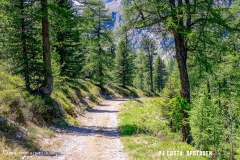 breya_valarpette_170611_-(51)