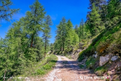 breya_valarpette_170611_-(52)