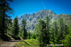 breya_valarpette_170611_-(53)