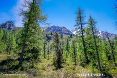 breya_valarpette_170611_-(55)