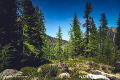 breya_valarpette_170611_-(56)