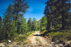 breya_valarpette_170611_-(57)
