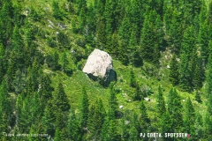 breya_valarpette_170611_-(59)