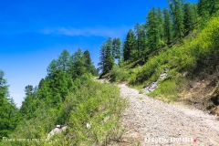 breya_valarpette_170611_-(61)