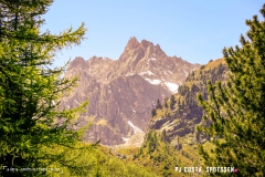 breya_valarpette_170611_-(63)
