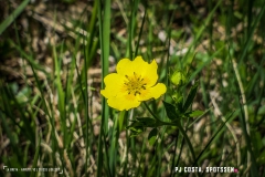 breya_valarpette_170611_-(64)