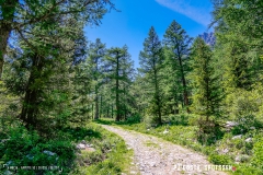 breya_valarpette_170611_-(68)