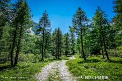 breya_valarpette_170611_-(70)