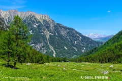 breya_valarpette_170611_-(72)