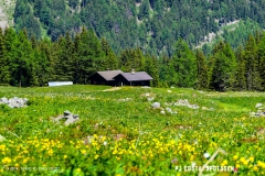 breya_valarpette_170611_-(76)