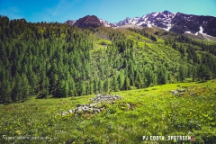 breya_valarpette_170611_-(77)