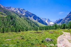 breya_valarpette_170611_-(78)