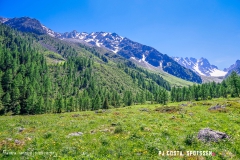 breya_valarpette_170611_-(79)