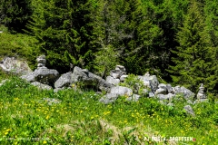 breya_valarpette_170611_-(81)