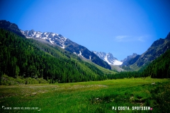 breya_valarpette_170611_-(85)