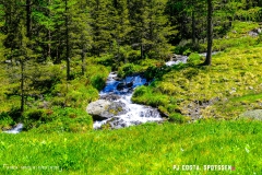 breya_valarpette_170611_-(86)