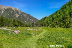 breya_valarpette_170611_-(92)