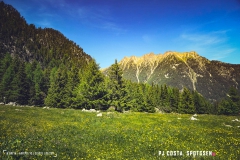 breya_valarpette_170611_-(93)