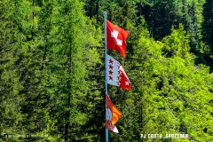 breya_valarpette_170611_-(94)