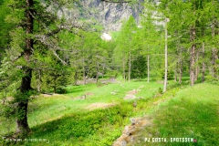 lacsalanfe_170603_-(1)